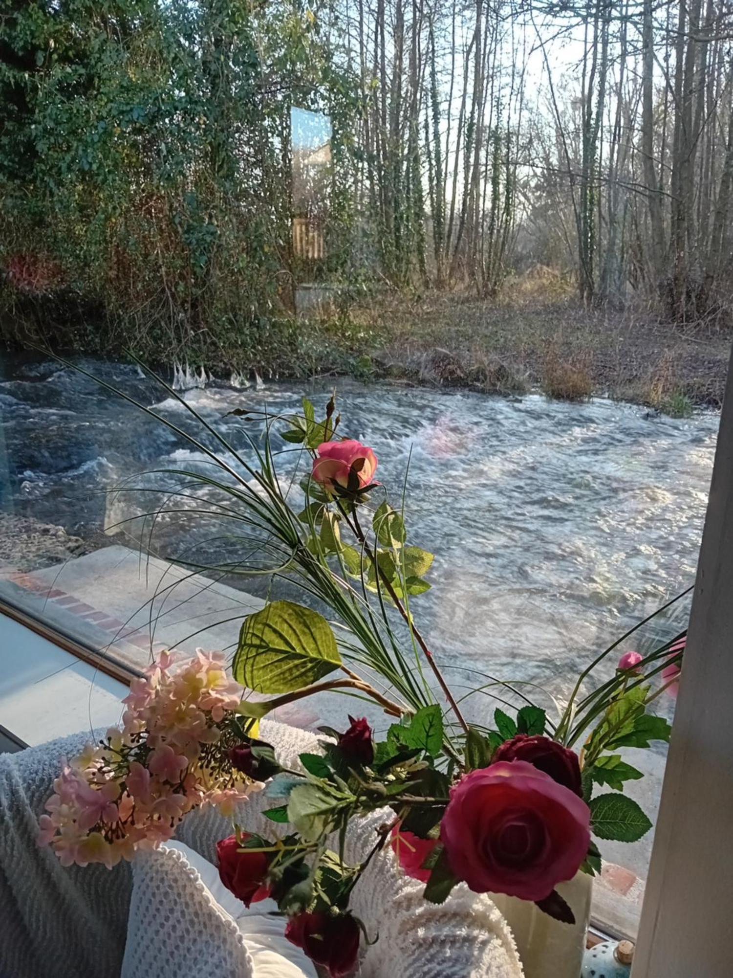 Le Moulin Des Roses Bed & Breakfast Neslette Exterior photo