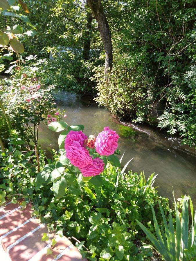 Le Moulin Des Roses Bed & Breakfast Neslette Exterior photo